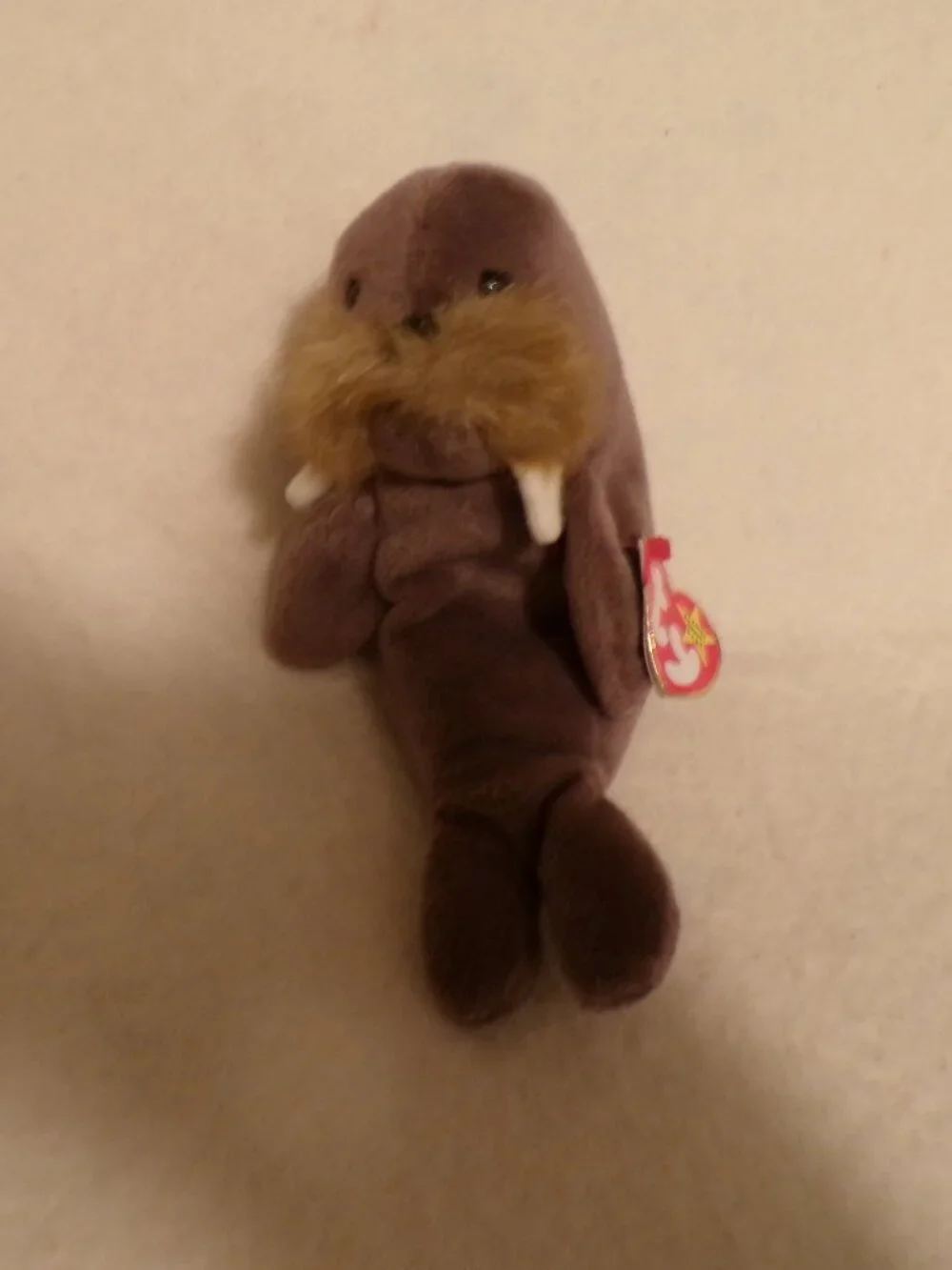 TY Beanie Baby - JOLLY the Walrus 1996